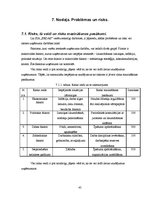 Biznesa plāns 'Biznesa plāns tūrisma jomā', 45.