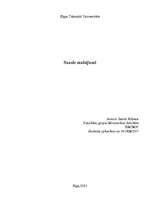 Referāts 'Sausie maisījumi', 1.