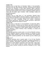 Referāts 'Sausie maisījumi', 5.