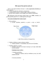 Konspekts 'Sešas domāšanas cepures', 7.