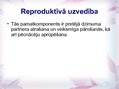 Prezentācija 'Sabiedriskās uzvedības formas', 7.