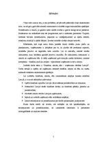 Referāts 'Franšīze, zīmols, tēls - uzņēmuma vērtības Latvijā', 5.