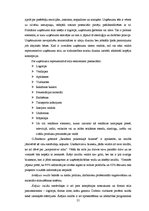 Referāts 'Franšīze, zīmols, tēls - uzņēmuma vērtības Latvijā', 21.