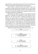 Referāts 'Studiju darbs', 10.