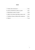 Prakses atskaite 'Balvu pilsētas kultūras un atpūtas centrs', 2.