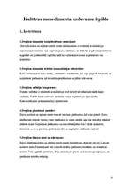 Prakses atskaite 'Balvu pilsētas kultūras un atpūtas centrs', 4.