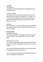 Prakses atskaite 'Balvu pilsētas kultūras un atpūtas centrs', 6.