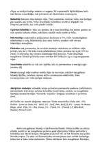 Referāts 'Mazgāšanas līdzekļi un to iedarbība uz apkārtējo vidi', 4.