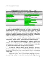 Referāts 'Uzņēmuma RIMI personālvadības politika', 39.