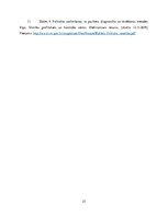 Referāts 'Bipolāri afektīvie traucējumi', 27.