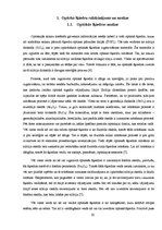 Diplomdarbs 'Optiskie sazarotāji', 10.