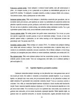 Diplomdarbs 'Optiskie sazarotāji', 14.