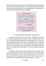 Diplomdarbs 'Optiskie sazarotāji', 28.