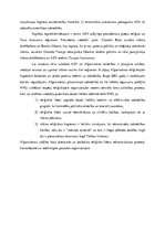 Referāts 'ASV un Afganistānas attiecību mijiedarbība', 12.