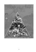 Referāts 'Veselīgs dzīvesveids', 13.