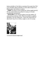 Konspekts 'Janoami filosofija', 2.