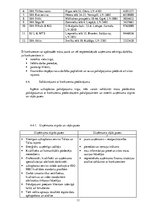 Biznesa plāns 'Uzkopšanas serviss "Palīgs"', 11.