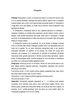 Konspekts 'B hepatīts', 1.