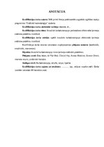 Referāts 'Invazīvās karboksiterapijas pielietošanas efektivitāte ķermeņa estētisko problēm', 2.