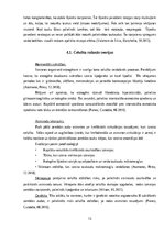 Referāts 'Invazīvās karboksiterapijas pielietošanas efektivitāte ķermeņa estētisko problēm', 13.