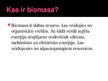 Prezentācija 'Biomasas', 3.