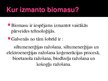 Prezentācija 'Biomasas', 4.