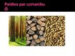 Prezentācija 'Biomasas', 14.