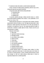 Referāts 'Vadīšanas funkcijas un organizācija Valsts meža dienestā', 19.