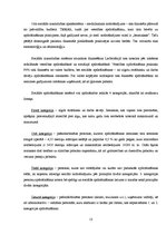 Referāts 'Sociālā nodrošinājuma modeļi Latvijā un ES', 13.