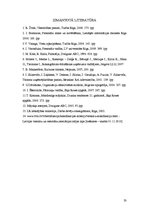 Referāts 'Dokumentācijas izstrāde trīszvaigžņu viesnīcai', 33.