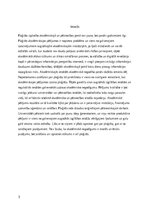 Referāts 'Attieksme pret plaģiātu Eiropas valstīs', 11.