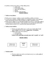 Konspekts 'Grāmatas "Ievads tiesībās" konspekts', 7.