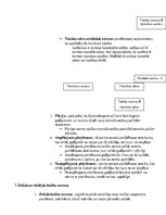 Konspekts 'Grāmatas "Ievads tiesībās" konspekts', 11.