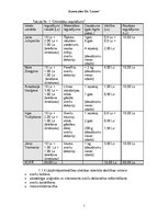 Biznesa plāns 'Skolēnu mācību firmasSIA "Liesma" biznesa plāns', 5.