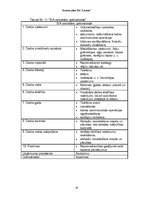 Biznesa plāns 'Skolēnu mācību firmasSIA "Liesma" biznesa plāns', 19.