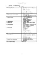 Biznesa plāns 'Skolēnu mācību firmasSIA "Liesma" biznesa plāns', 20.