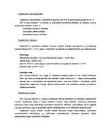 Biznesa plāns 'SIA "Latvian Plastics" biznesa plāns', 3.