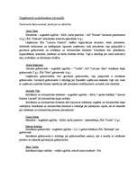 Biznesa plāns 'SIA "Latvian Plastics" biznesa plāns', 6.