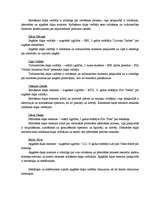 Biznesa plāns 'SIA "Latvian Plastics" biznesa plāns', 7.