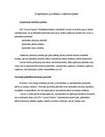 Biznesa plāns 'SIA "Latvian Plastics" biznesa plāns', 9.