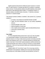 Biznesa plāns 'SIA "Latvian Plastics" biznesa plāns', 14.