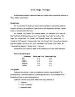 Biznesa plāns 'SIA "Latvian Plastics" biznesa plāns', 17.