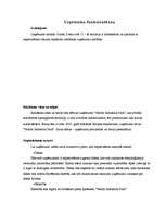 Biznesa plāns 'SIA "Latvian Plastics" biznesa plāns', 20.