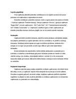 Biznesa plāns 'SIA "Latvian Plastics" biznesa plāns', 24.