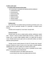 Biznesa plāns 'SIA "Latvian Plastics" biznesa plāns', 25.