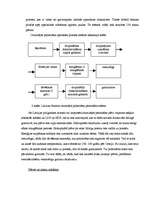 Biznesa plāns 'SIA "Latvian Plastics" biznesa plāns', 28.