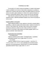 Biznesa plāns 'SIA "Latvian Plastics" biznesa plāns', 30.