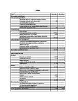 Biznesa plāns 'SIA "Latvian Plastics" biznesa plāns', 41.