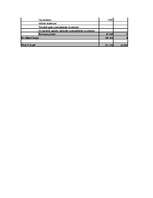 Biznesa plāns 'SIA "Latvian Plastics" biznesa plāns', 43.