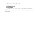 Referāts 'Vērtspapīri', 2.